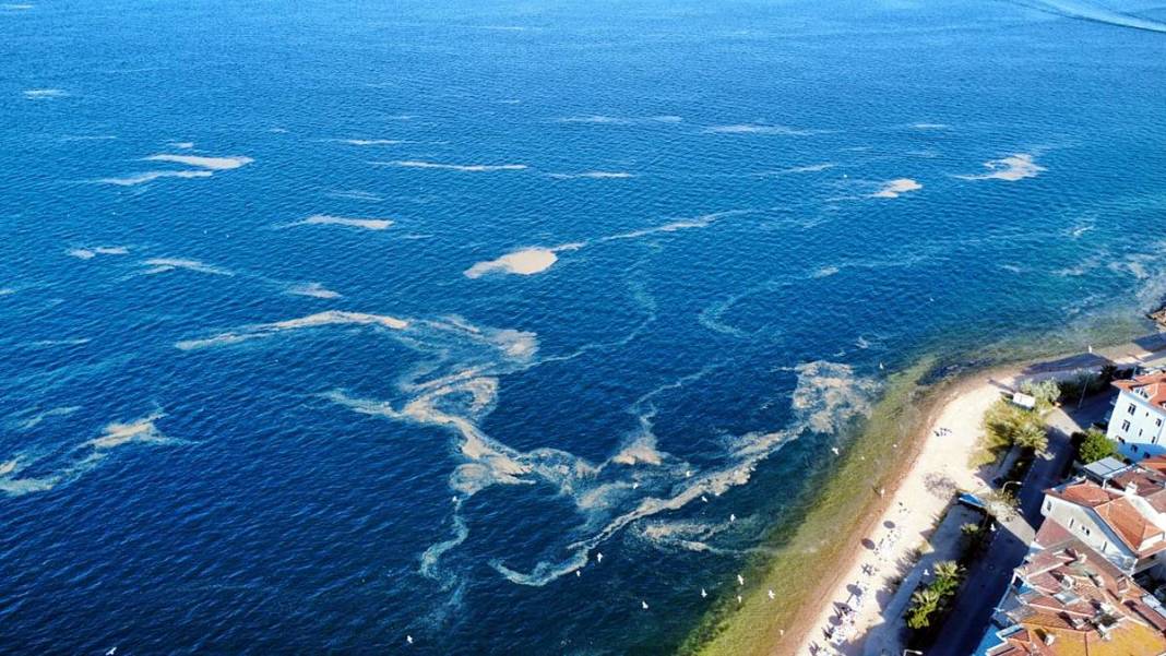 Kabus geri döndü: Bir anda beyaz tabakayla kaplandı! Çevre kirliliği had safhada 10